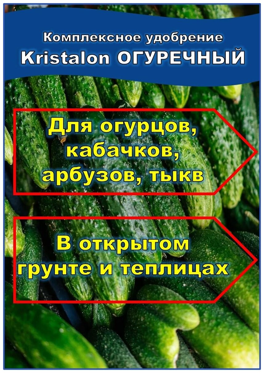 Удобрение для огурцов, для рассады из семян огурцов, в открытом грунте и теплицах, Кристалон огуречный, для огурцов, Фертика, 500 гр. - фотография № 6