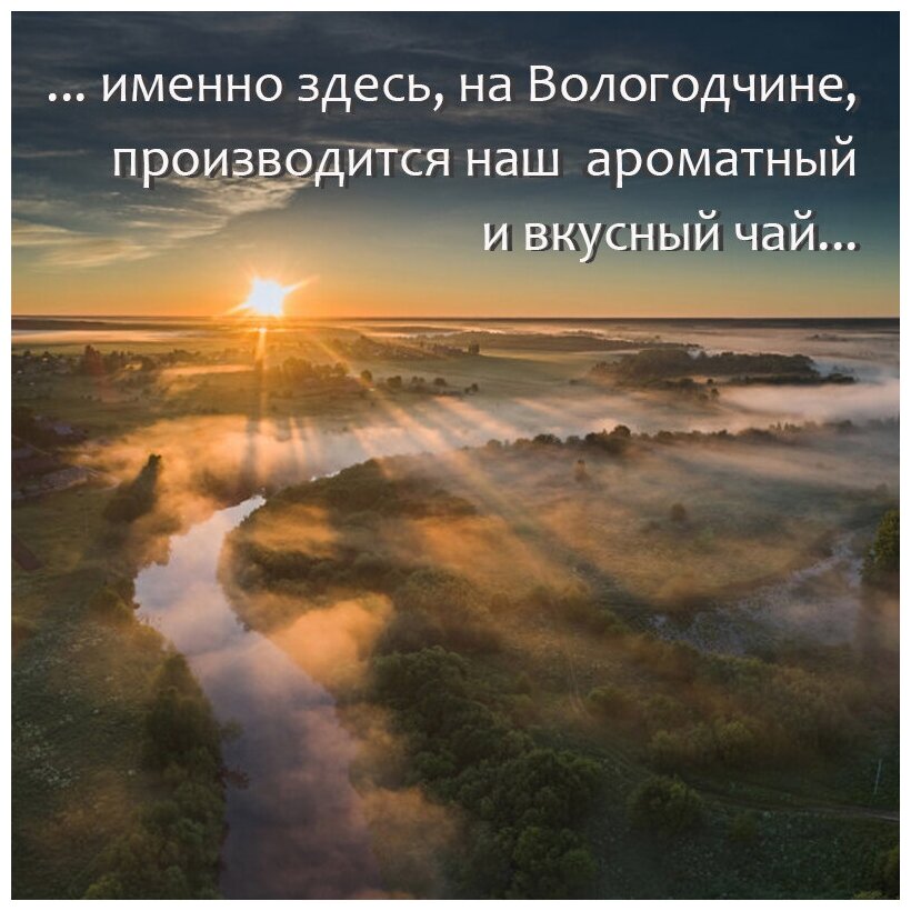 Иван-чай "Эко-Вологда" листовой классический 200 гр. Урожай 2022 года (Узколистный Кипрей, Копорский Чай, Фиточай, Лечебный травяной сбор) - фотография № 3