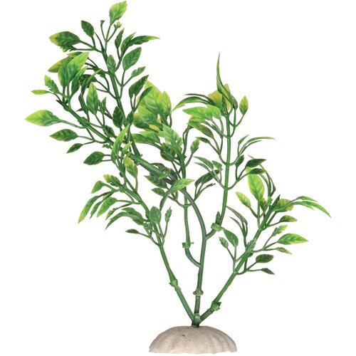 Растение Ротала зелёная пластик 34см