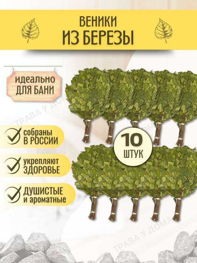 Веники для бани березовые 10 шт