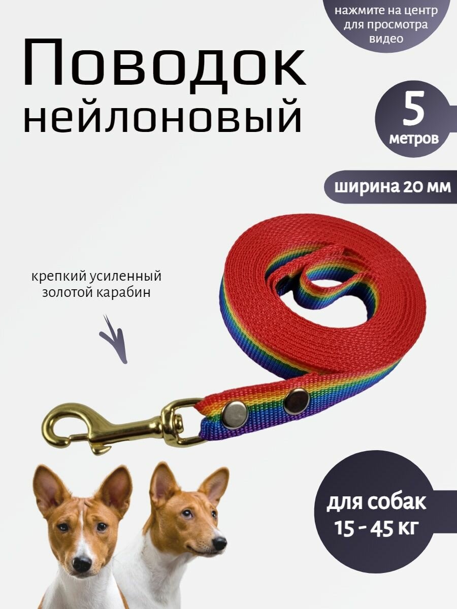 Поводок для собак с золотым карабином нейлон 5 м х 20 мм