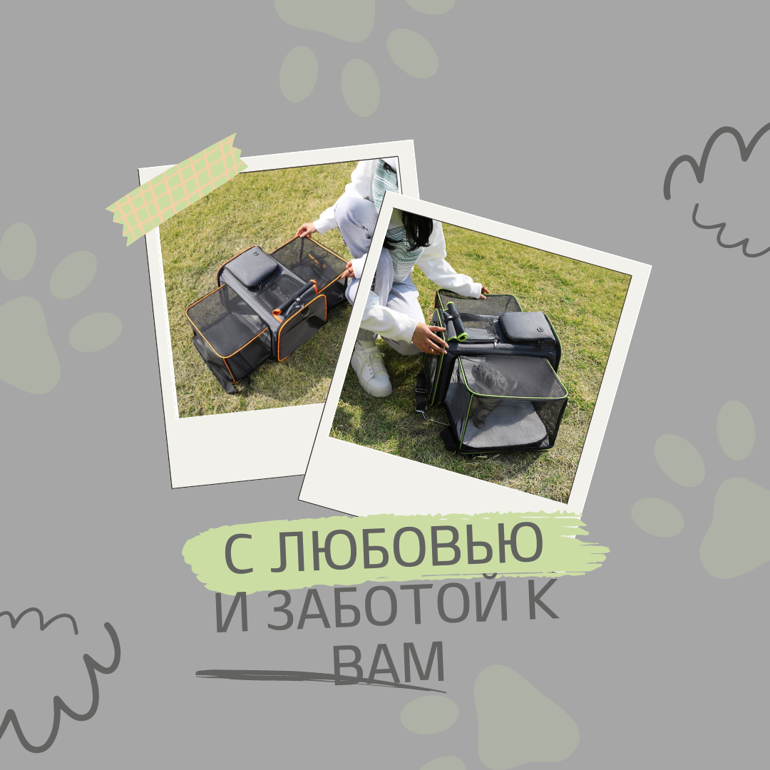 Переноска для кошек и собак мелких пород BodyCare зеленая - фотография № 5