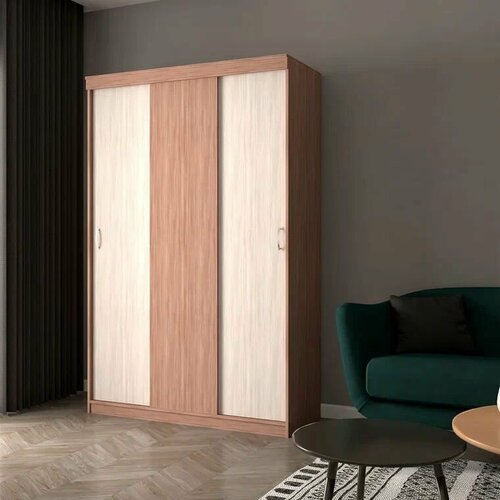 Шкаф-купе Леон 2000*1300*500