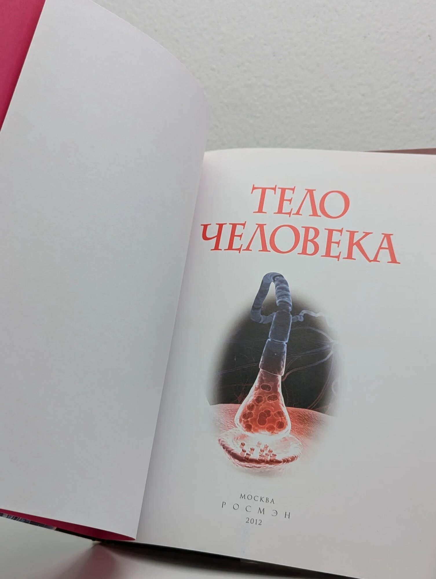 Тело человека 2012 — фото 1