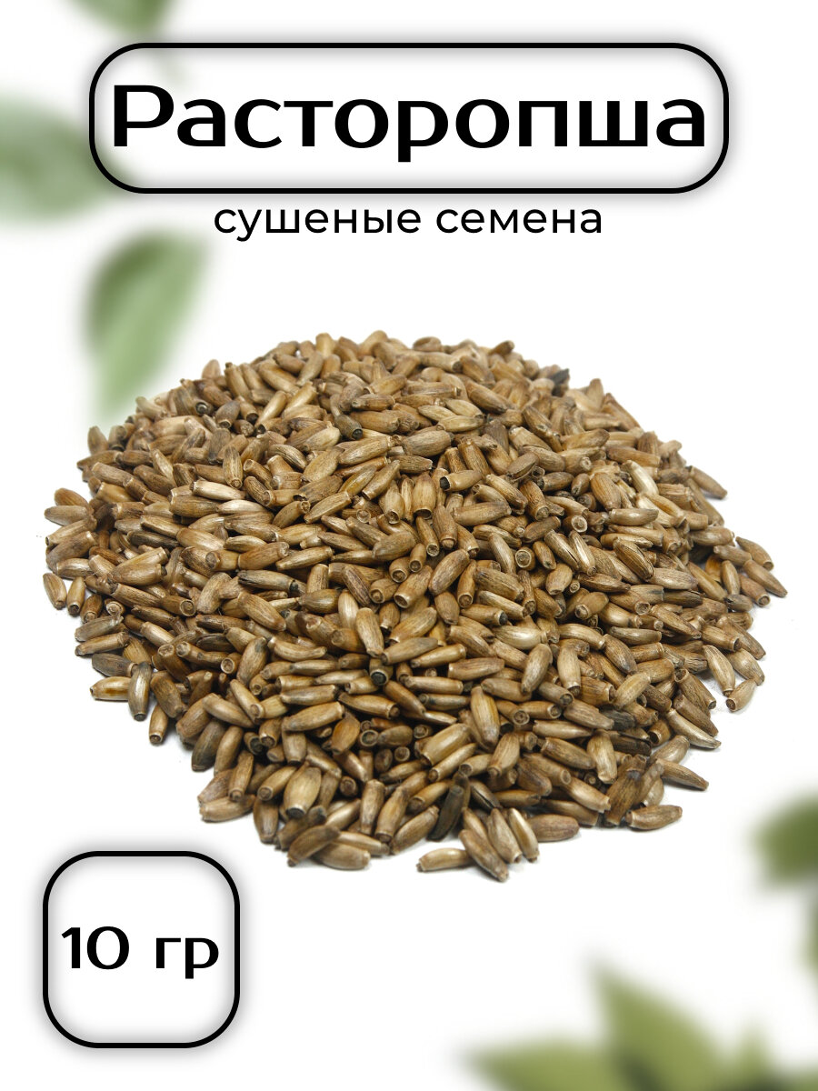 Расторопша пятнистая сушеные семена 10 гр - сухоцветы для свечей, творчества и ритуалов