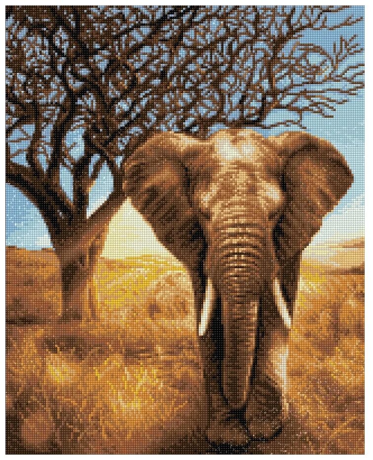 Алмазная вышивка Африканский слон (АЖ-1783) - картина стразами Алмазная живопись - фото №7