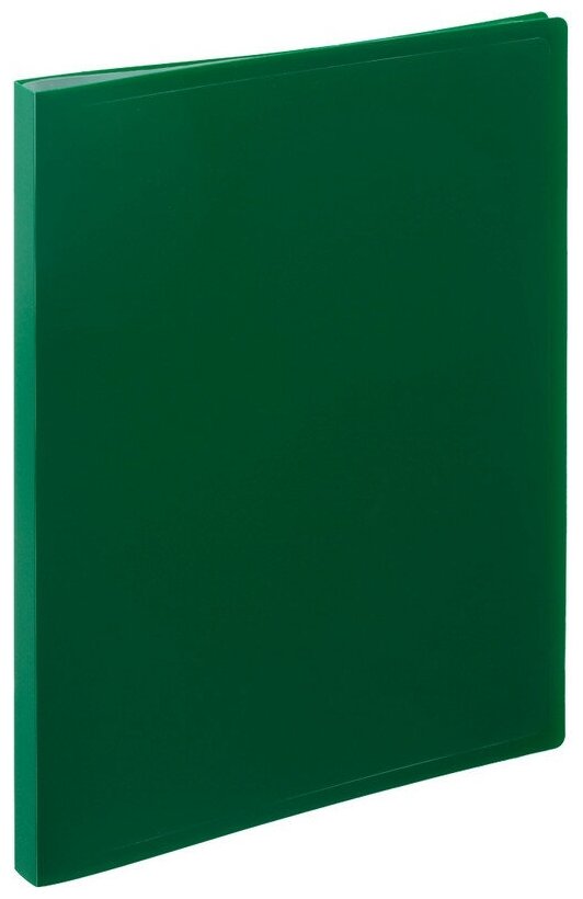 Папка файловая на 20 файлов Attache A4 16 мм зеленая (толщина обложки 0.4 мм) 710153
