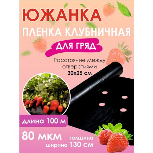 Пленка мульчирующая перфорированная для клубники, 1,3м х100 м, 80 мкм, черная 30х25 см