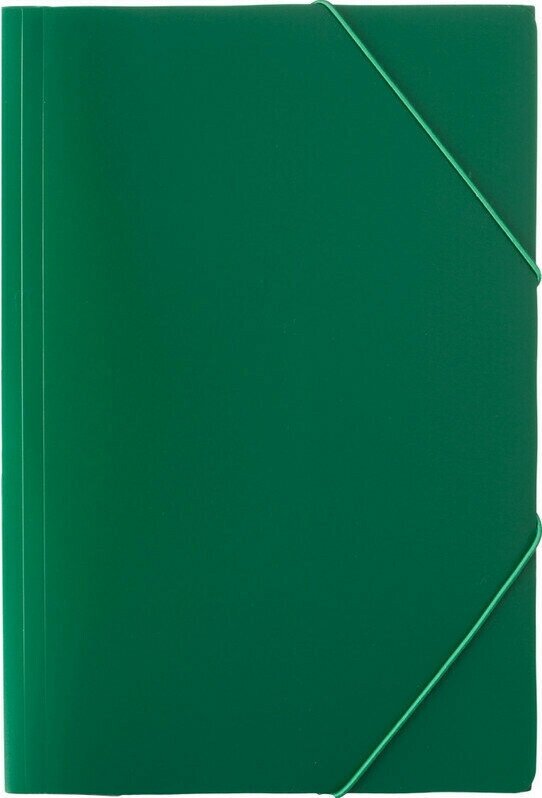 Папка-конверт Папка на резинках Attache Economy 045-PR-E, зеленый 4 шт.