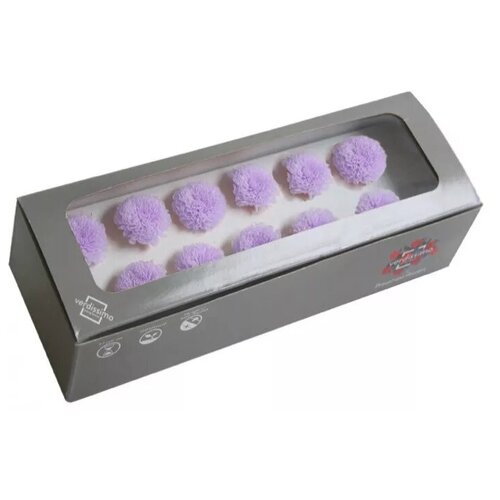 Хризантема 