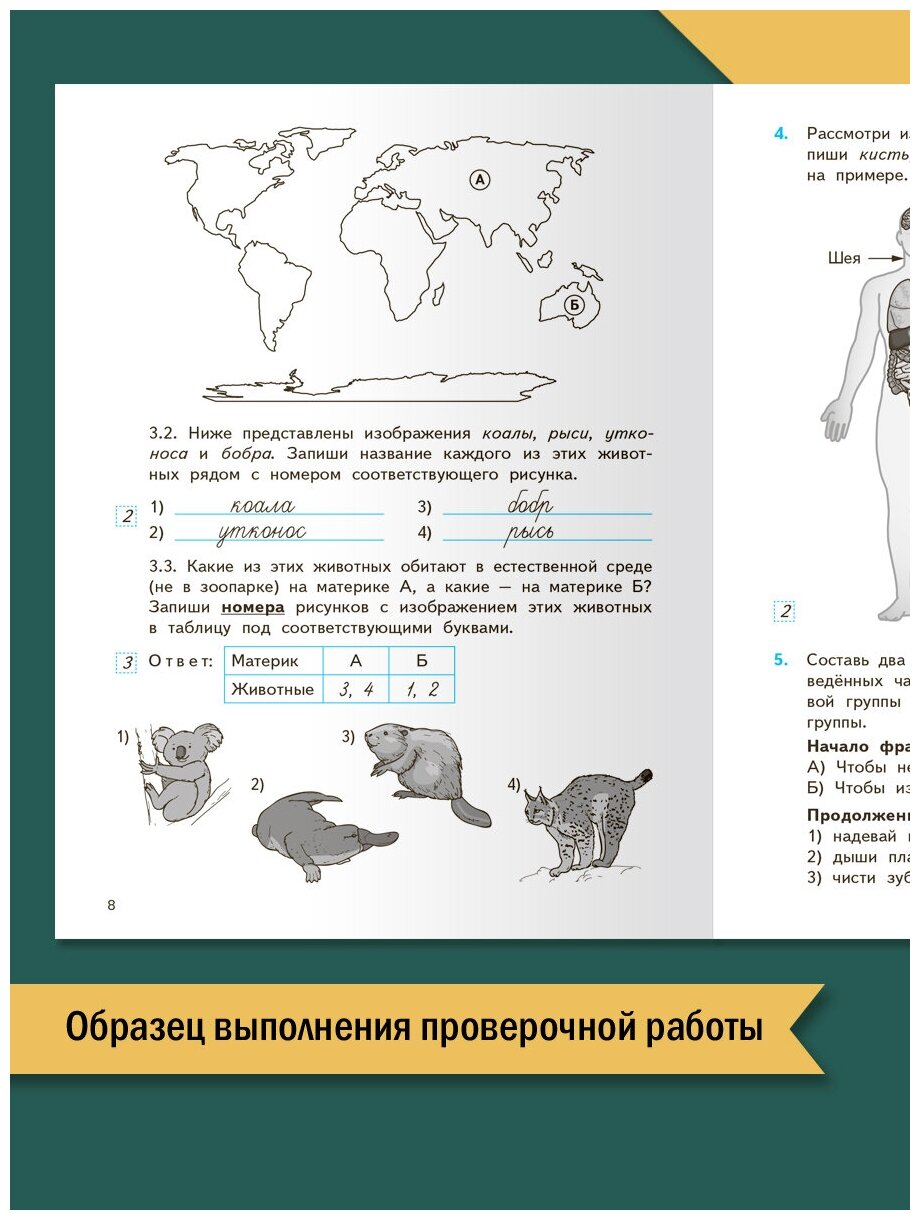 ФИОКО Всероссийская проверочная работа Окружающий мир 4 класс 7 тренировочных вариантов Пособие - фото №5
