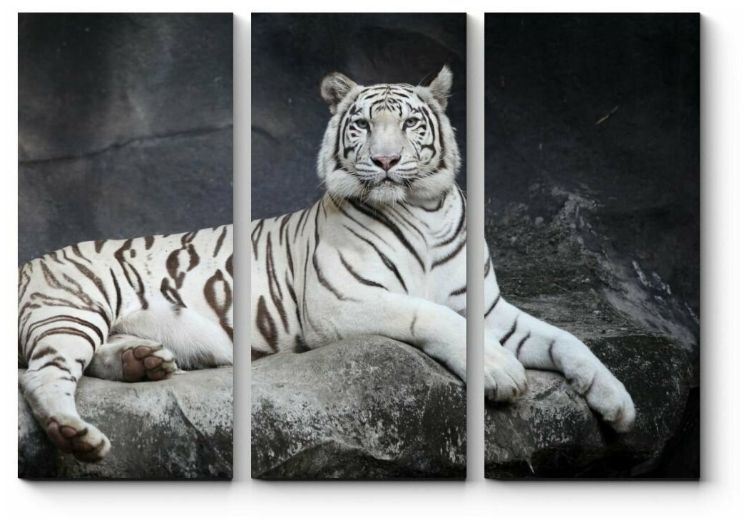 Модульная картина Величественный белый тигр 130x93