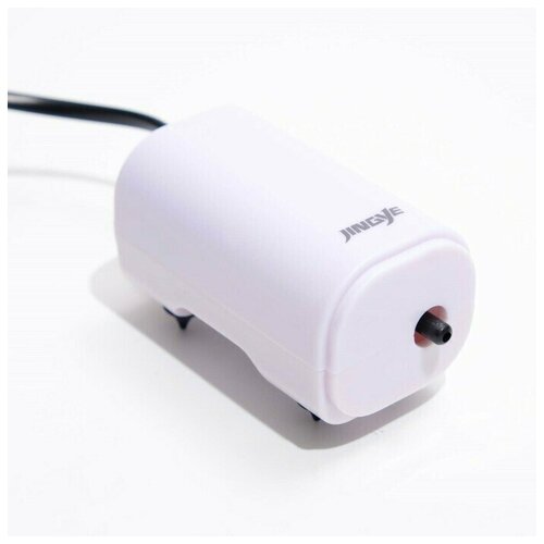 Компрессор внешний бесшумный 3 лмин 2 Вт 1140₽