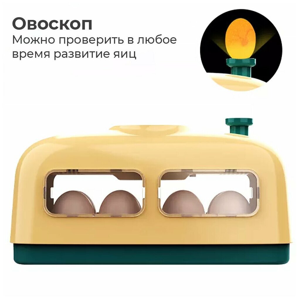 Инкубатор HHD 8 WONEGG паровозик мини автоматический для яиц, желтый - фотография № 4