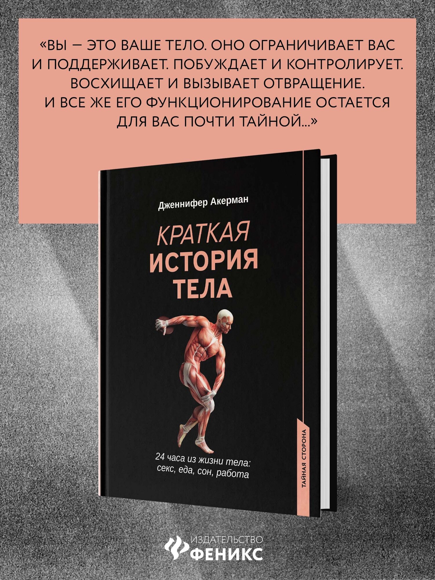 Краткая история тела. 24 часа из жизни тела. Секс, еде, сон, работа - фото №3