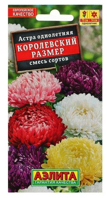 Семена цветов Астра "Королевский размер", смесь окрасок, О, 0,1 г