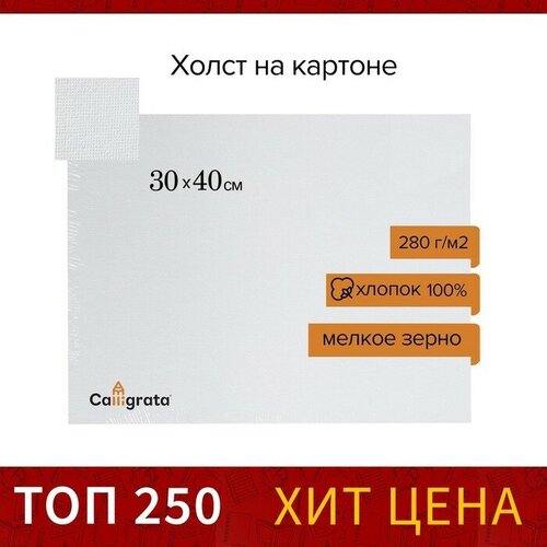 Холст на картоне , хлопок 100%, 30 х 40 см, 3 мм, акриловый грунт, мелкое зерно, 280 г/м2