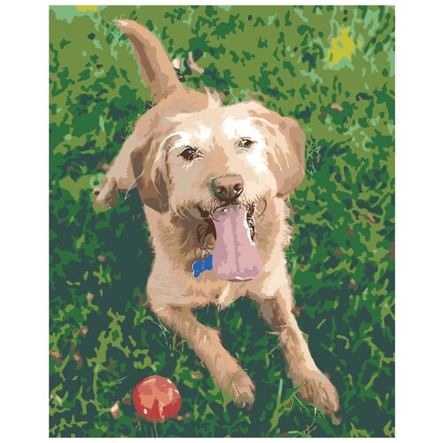 Пёс с мячиком Раскраска картина по номерам на холсте