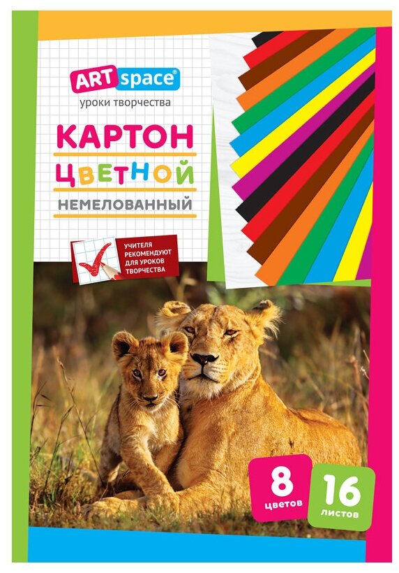 Картон цветной немелованный ArtSpace (16 листов, 8 цветов, А4) в папке (Нкн16-8_6961)