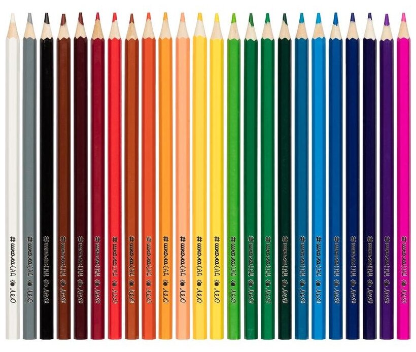 Карандаши цветные Учись, 24 цвета ЛЕО - фото №3