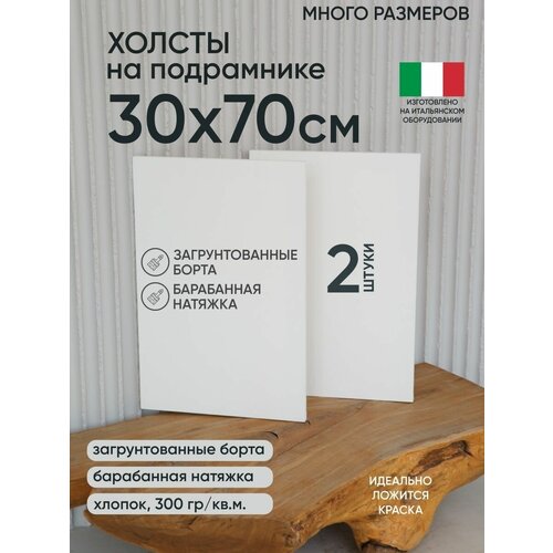 Холст на подрамнике, 2 шт, размер 30 х 70 см, Артель художников, хлопок 300 г/м2, грунтованный