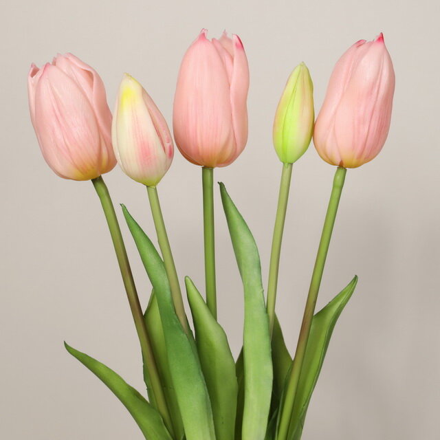 EDG Силиконовые тюльпаны Signora Rosa 5 шт, 40 см 216002,62