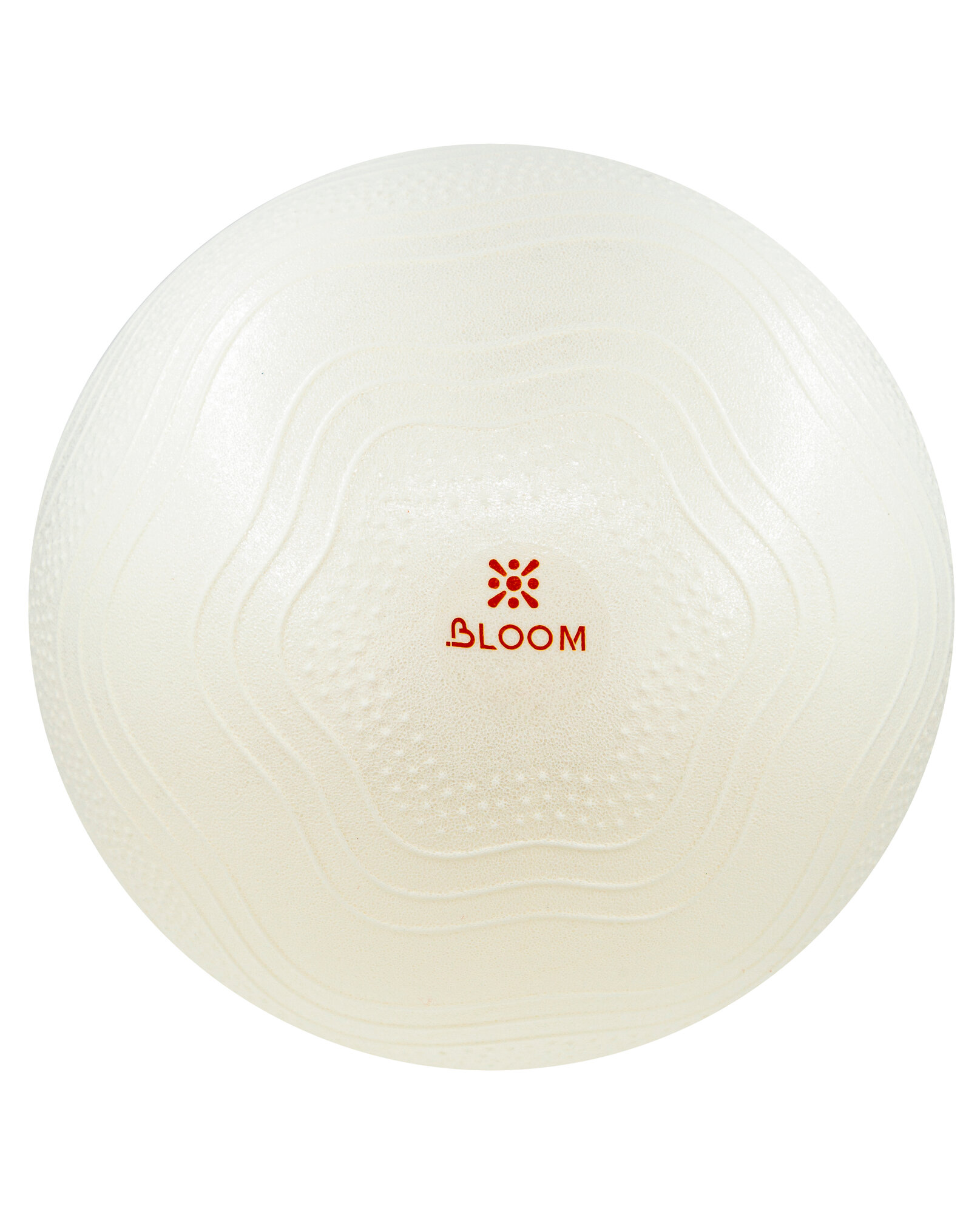 Мяч гимнастический, фитбол BLOOM 65 см LB7051/65 , с насосом — фото 1