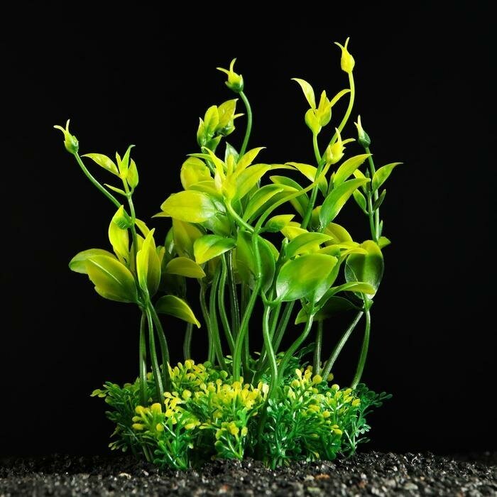 Растение искусственное аквариумное, 15 см, зелёное(3 шт.)