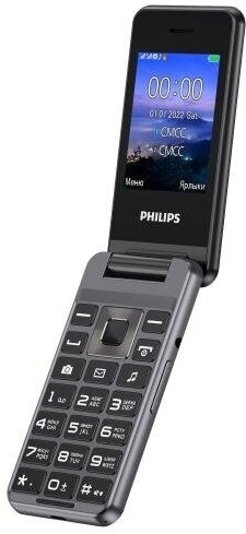 Телефон Philips Xenium E2601, 2 SIM, серый