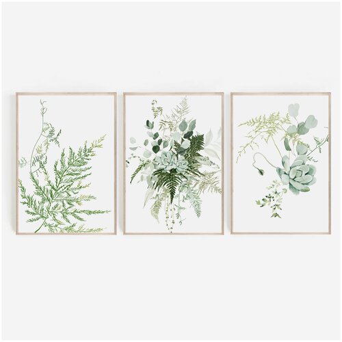 Набор из 3 постеров А3 (30х42 см) без рамы для интерьера на стену в скандинавском стиле - растения Папоротник Эвкалипт Суккулент