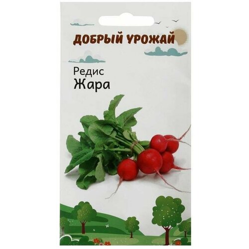 Семена Редис Жара 1 гр ( 1 упаковка )