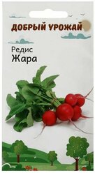 Семена Редис Жара 1 гр ( 1 упаковка )