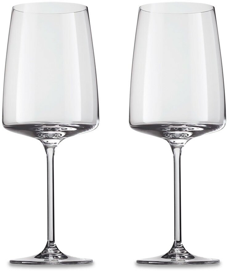 Набор из 2 бокалов для красных вин Flavoursome and Spicy, объем 660 мл, хрусталь, Zwiesel Glas, Германия, 122429