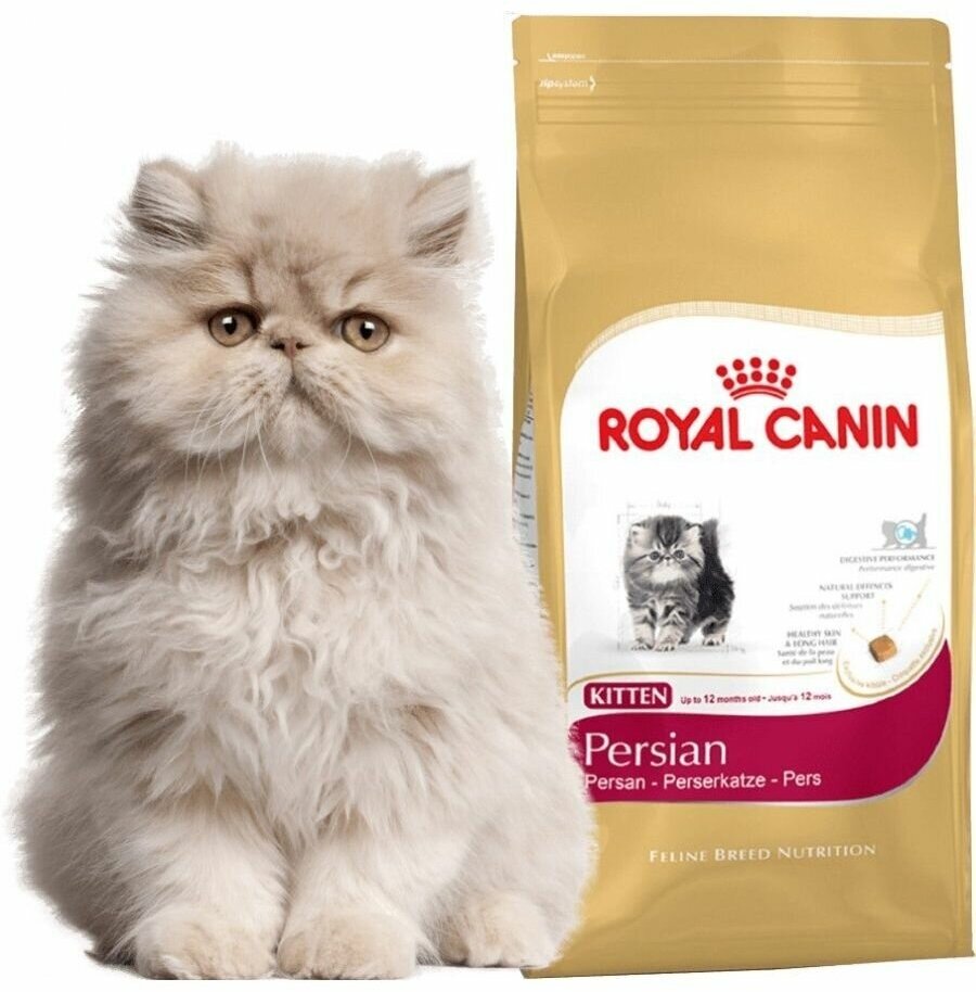 Корм Royal Canin Persian KITTEN для котят персидских пород до 12 мес., 10 кг - фотография № 5