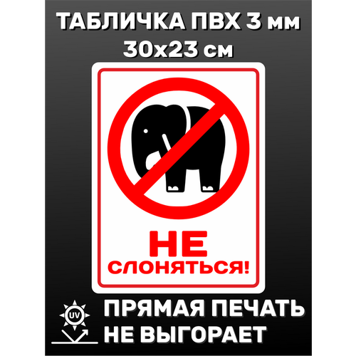 Табличка информационная "Не слоняться" 30х23 см