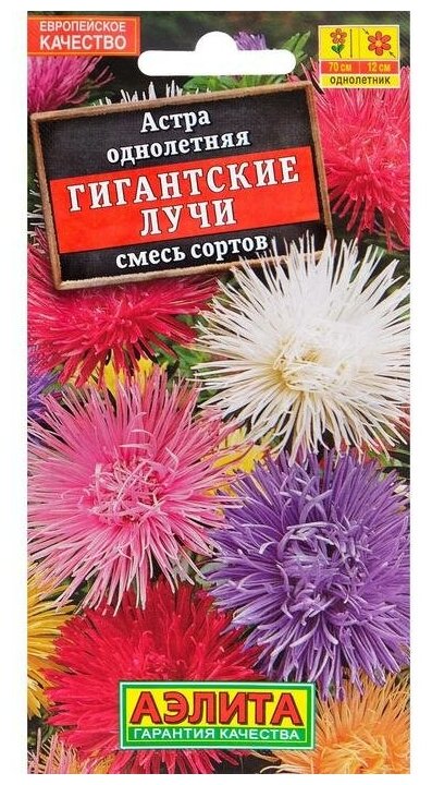 Семена цветов Астра "Гигантские лучи", смесь окрасок, О, 0,2 г