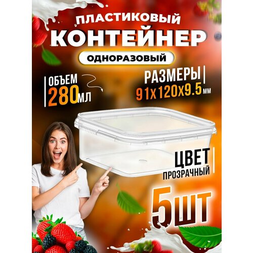 Контейнер пищевой для хранения и транспортировки продуктов/ контейнер пищевой с крышкой / контейнер для сыпучих продуктов 280 мл 5 шт