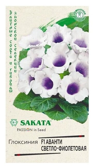 Семена комнатных цветов Глоксиния "Аванти" светло-фиолетовая F1 пробирка, гранулы, Мн, 5 шт.