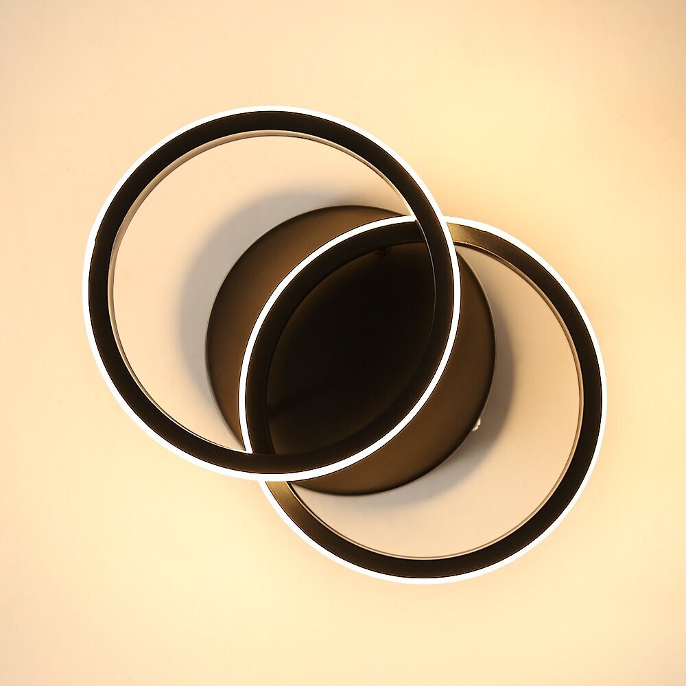 Потолочный светильник, DAXGD, 22W, 24 * 20 * 10 см, черный, круговой, теплый белый свет - фотография № 2