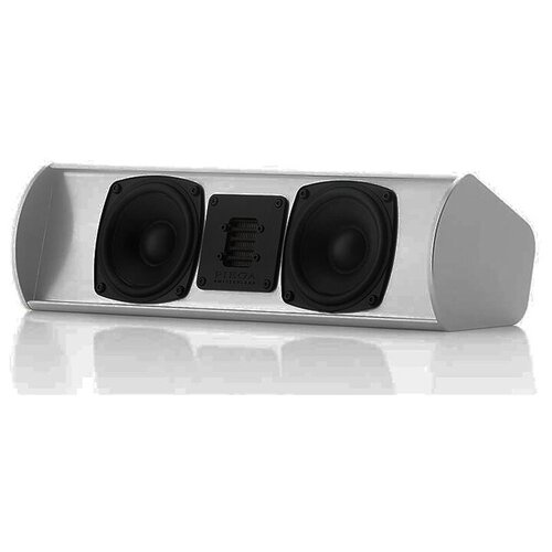 Центральные каналы Piega TMicro Center AMT silver aluminum 4950000₽