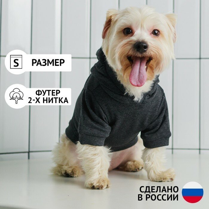 Пушистое счастье Толстовка однотонная для собак (футер) размер S (ДС 23 ОШ 32-34 ОГ 40-44) серая