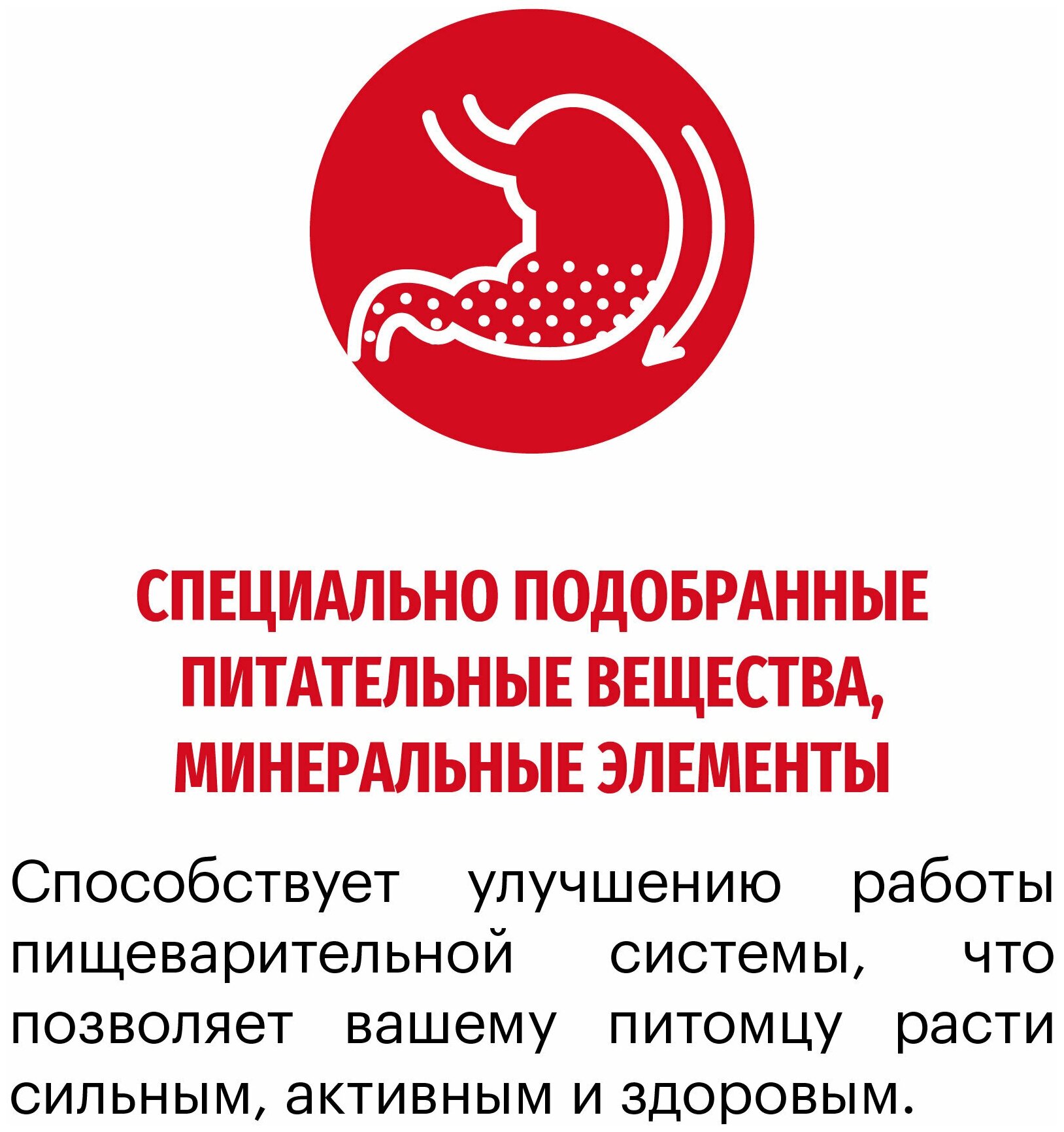 Корм для собак сухой KARMY Medium Junior с Индейкой 2 кг. для щенков средних пород — фото 1