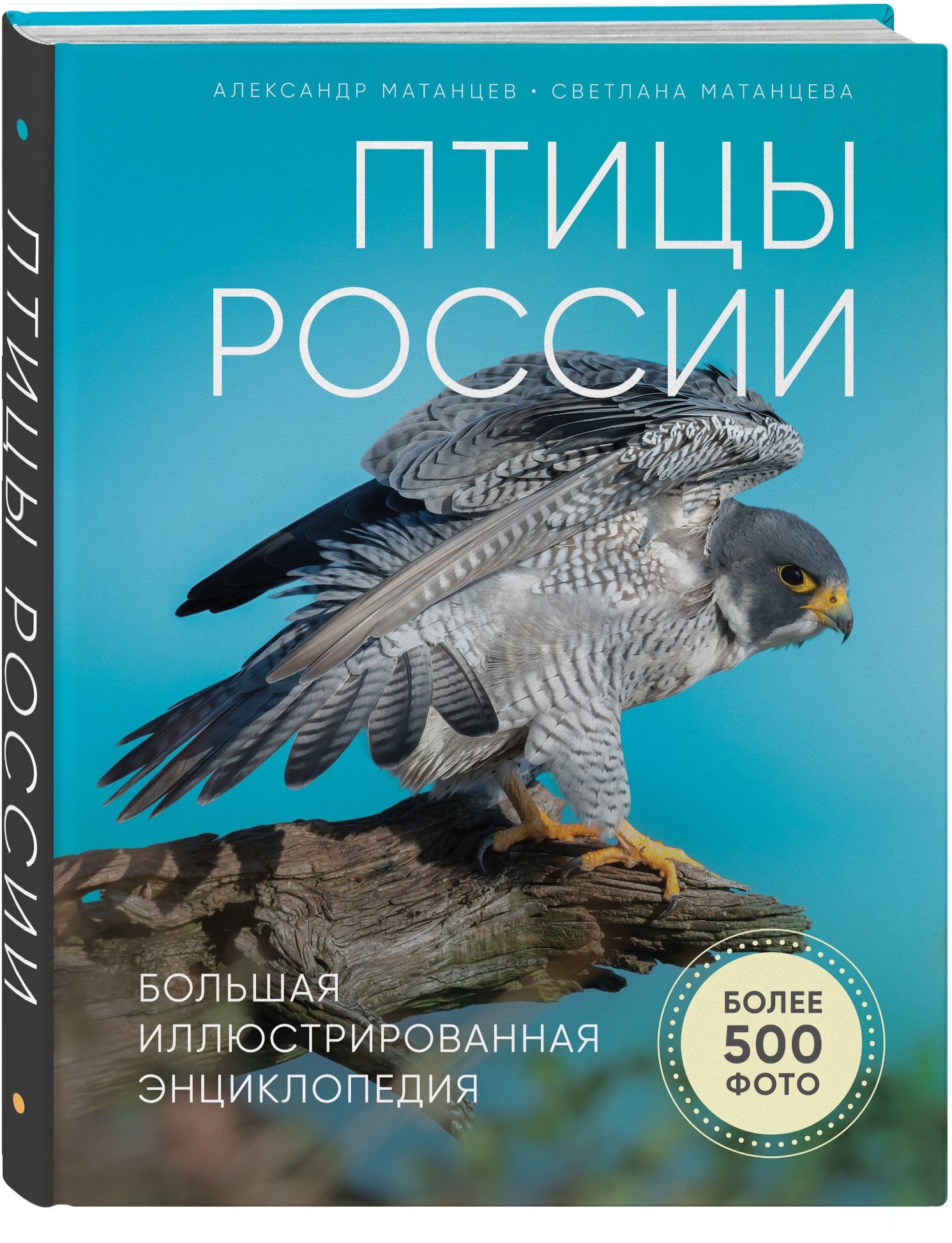 Птицы России. Большая иллюстрированная энциклопедия - фото №1