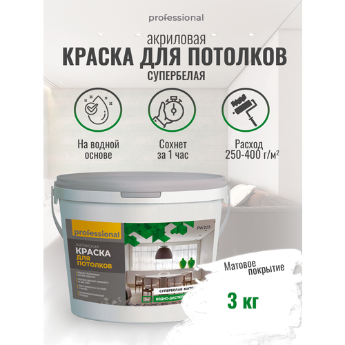 Краска для потолков супербелая РW203 ( 3кг) ТМ Professional