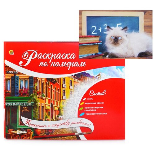 набор тм рыжий кот раскраска на картоне а3 в коробке зеркальное озеро в горах арт р 2552 Раскраска по номерам Рыжий кот на картоне, А3, Котик на столе (Р-2560)