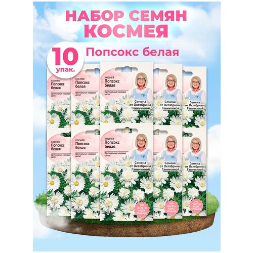 Набор семян Космея Попсокс белая 10 шт - 10 уп.