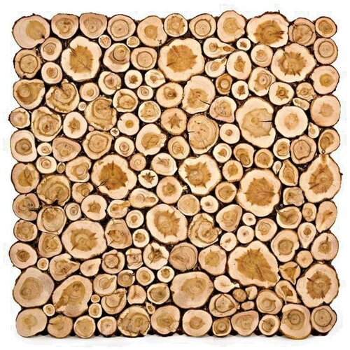 Панно из можжевельника на щите 500х500 мм