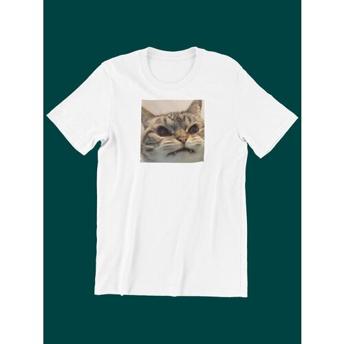 фото Футболка shulpinchik белая xxl женская с принтом злой котик мем подарок