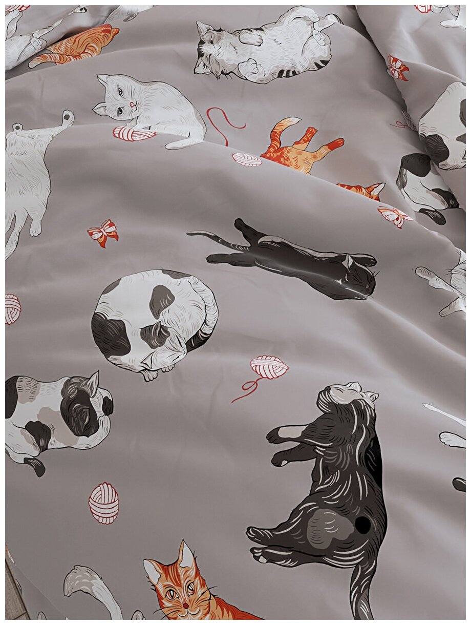 Постельное Белье Котики Котики "Kitties" 1,5-сп Наволочка 50х70 см 1 шт простынь на резинке 90х200 см пододеяльник 145х215 — фото 1