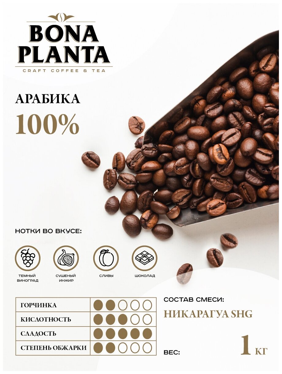 Кофе в зернах Никарагуа SHG, BONA PLANTA, PBC-NS1000, 1 кг. - фотография № 3